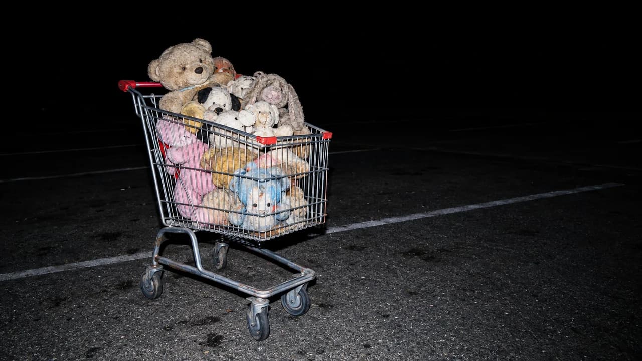 Cursed thumbnail: direct flash on an empty night parking lot with one shopping trolley full of plush toys