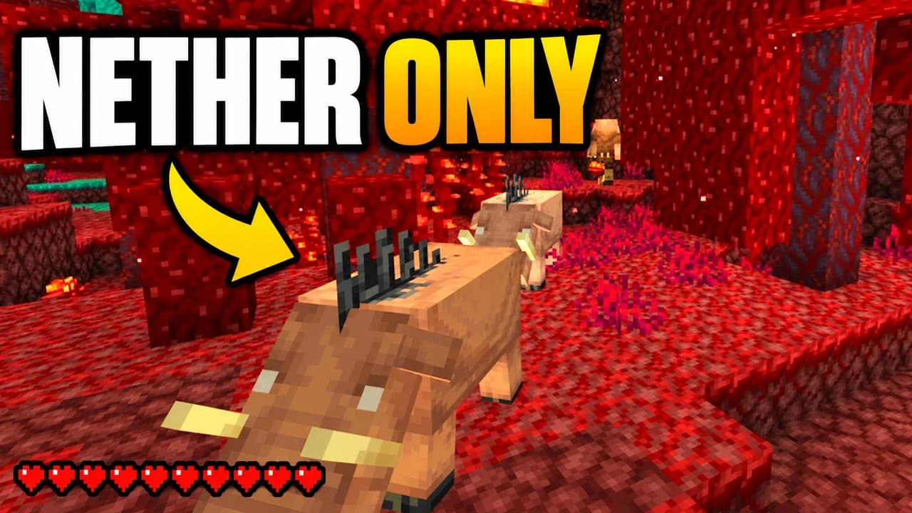Minecraft thumbnail: gameplay shot of a base dug into a crimson forest in the Nether, a ghast and hoglins nearby, text NETHER ONLY