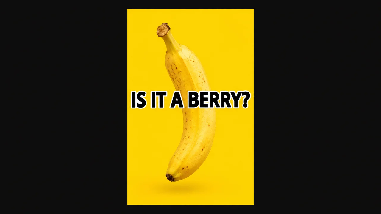 YouTube Shorts cover: a single banana floating in the centre of a flat yellow background, black text IS IT A BERRY? across the middle